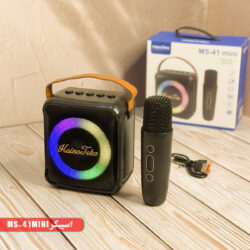 MS-41 Mini اسپیکر بلوتوثی هاینوتکو MS-41 Mini